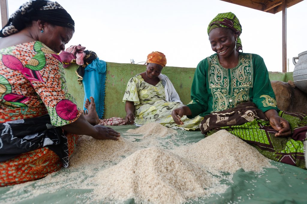 Memunatu Mumuni (left), Mari Ziblim and Abiba Murtapha clean rice at a World Food Programme project site in Nyankpala of Ghana.