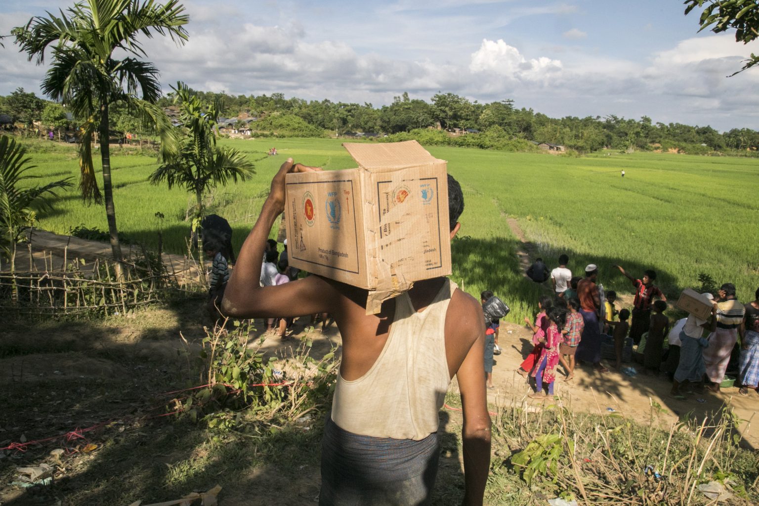A man carries a WFP box of food aid on his shoulder and looks out over the land