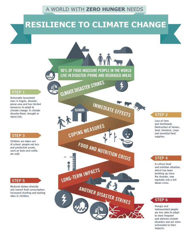 This Is How Climate Change Causes Hunger In 6 Steps