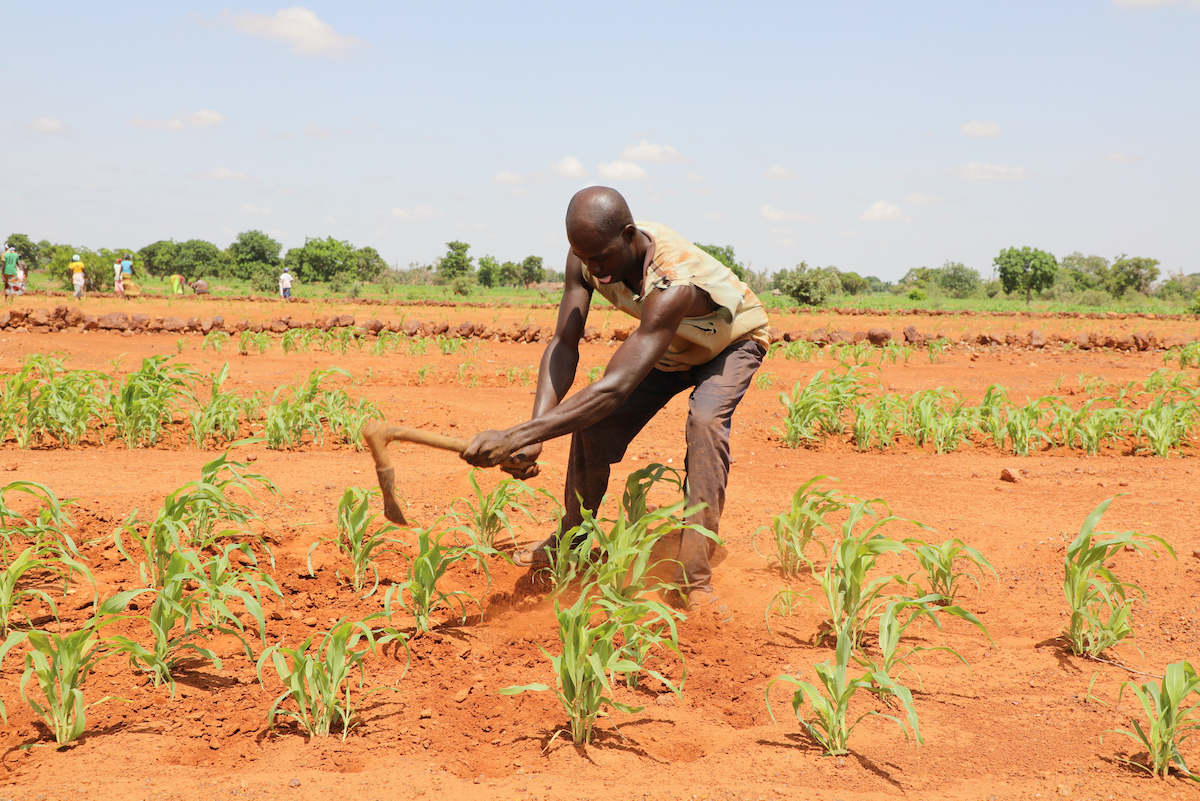 Humanitarian Crisis In The Sahel Conflict Climate Change And Famine