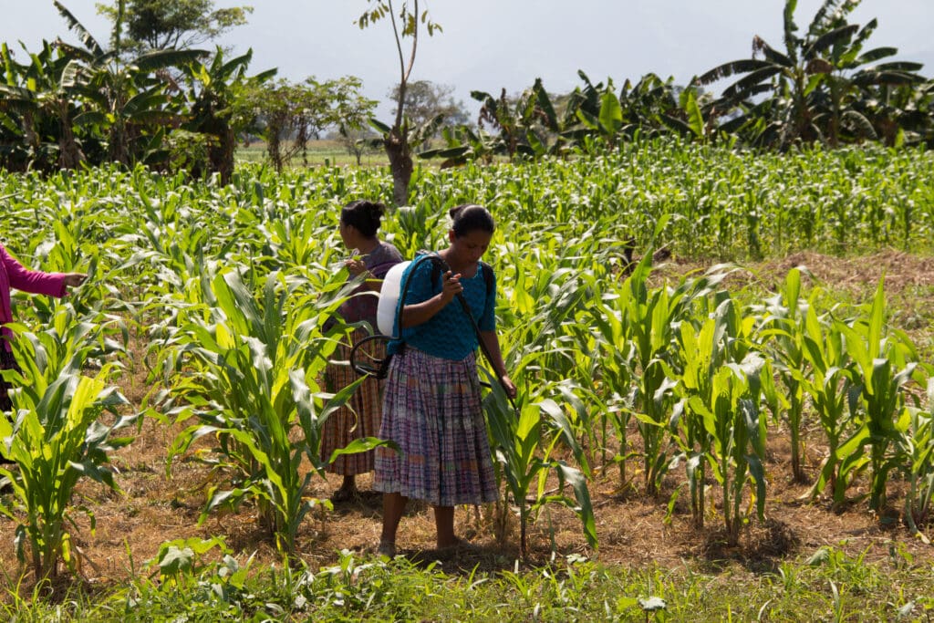 Liberia - World Food Program USA