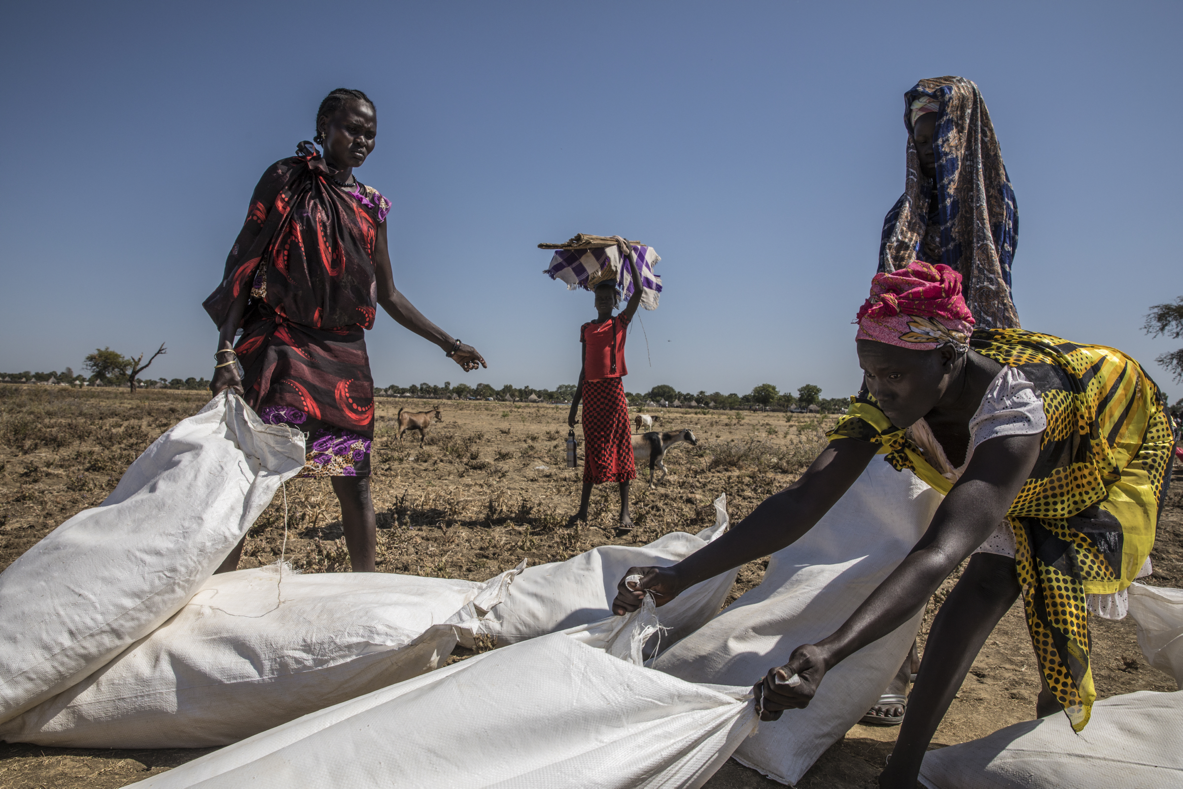 Famine in South Sudan: A Turning Point in Global Food Security