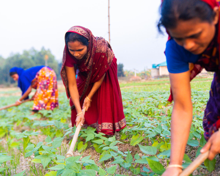 COVID-19 Pandemic is Causing Global Hunger in Poor Countries