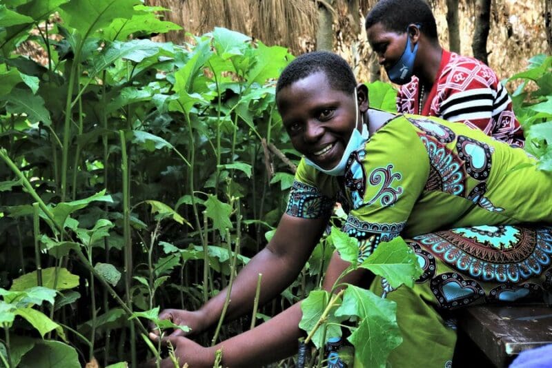 How a Rural Women's Initiative Is Planting Seeds of Change in Rwanda