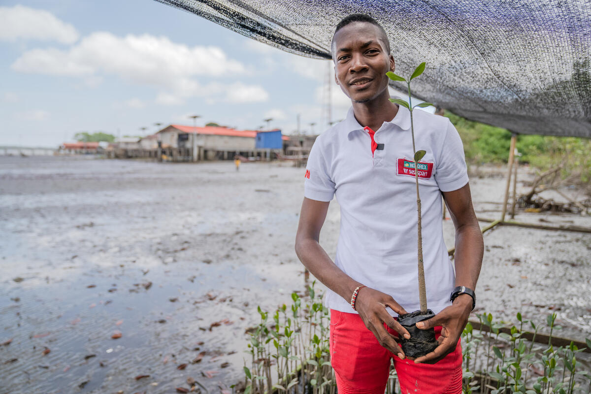 Man holds mangrove seedling in Colombia