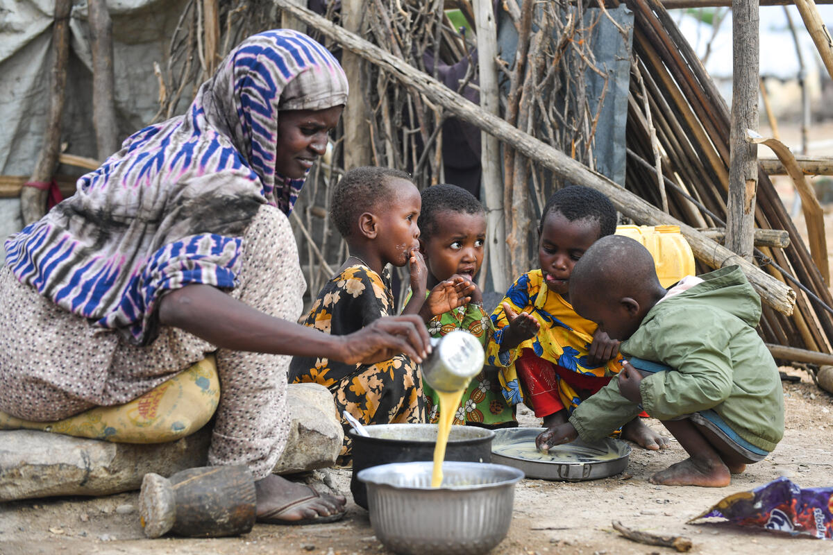 Wfp Launches New Operating Model To Restart Work In Ethiopia