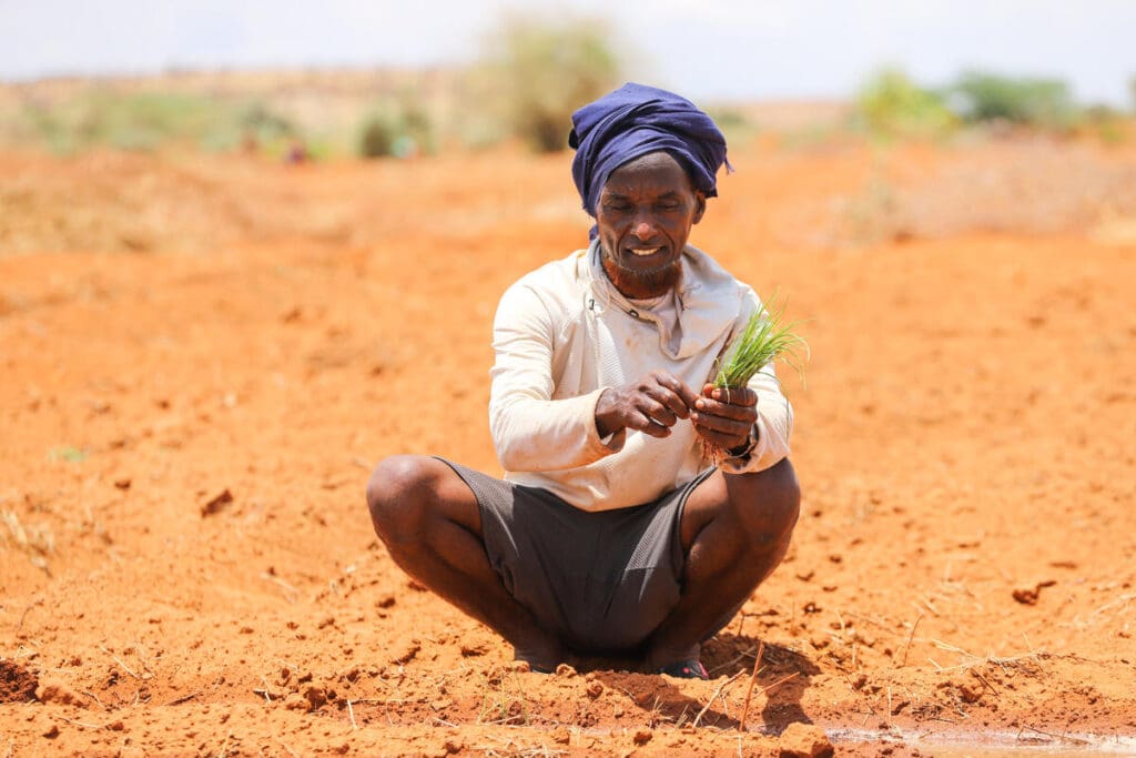 Farmer in Ethiopia