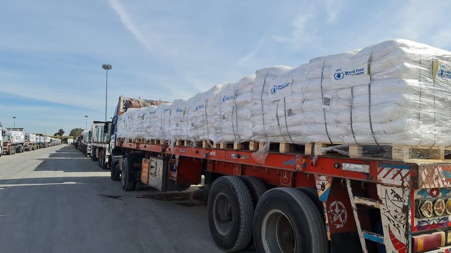 WFP trucks in Gaza