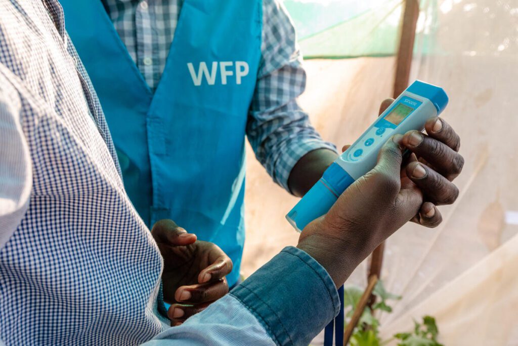 Daniel works at a hydroponics garden in Zambia