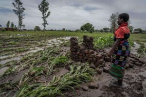 a woman looks across her flooded fields
