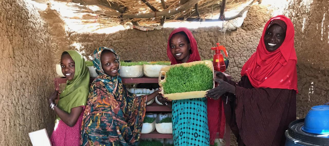 1_header_chad-cropped_0