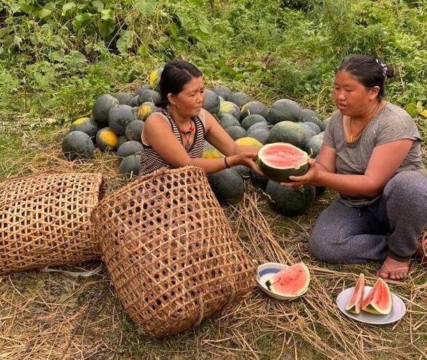 86 percent of rural women are employed in agriculture in Bhutan.