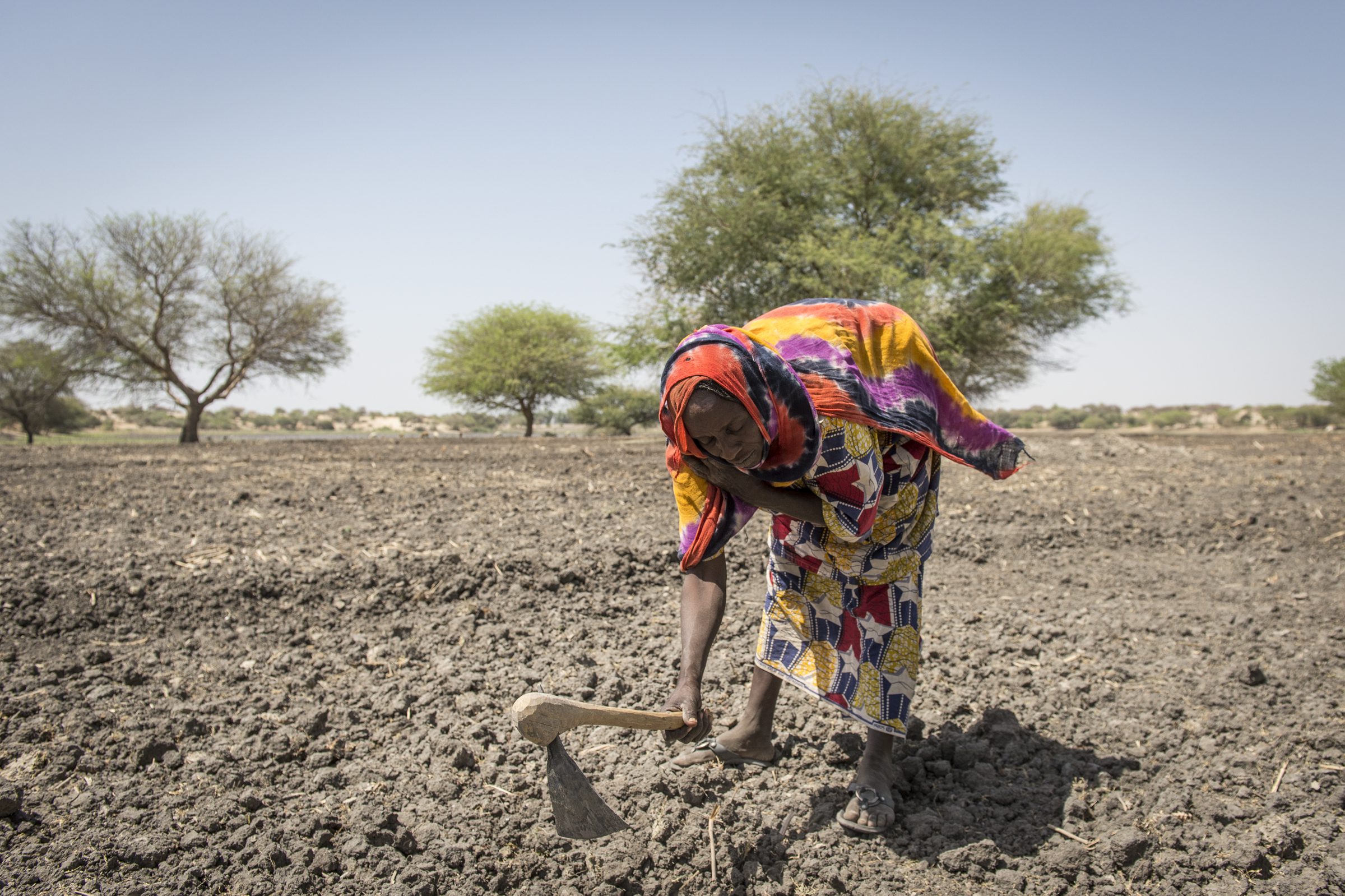 Bai Mbaram attempts to grow a garden in the dry soil around Lake Chad
