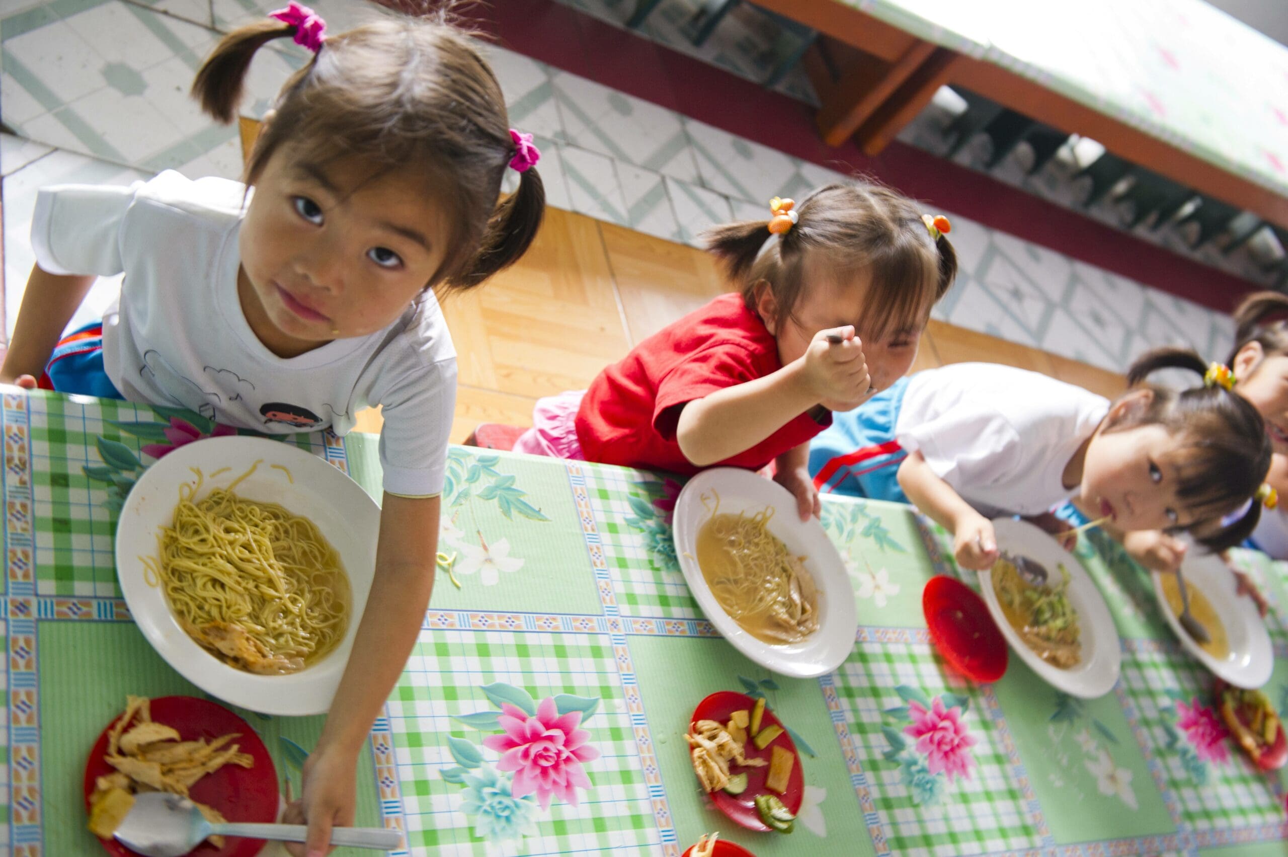 DPRK_20120622_WFP-Rein_Skullerud_D3S3687-scaled