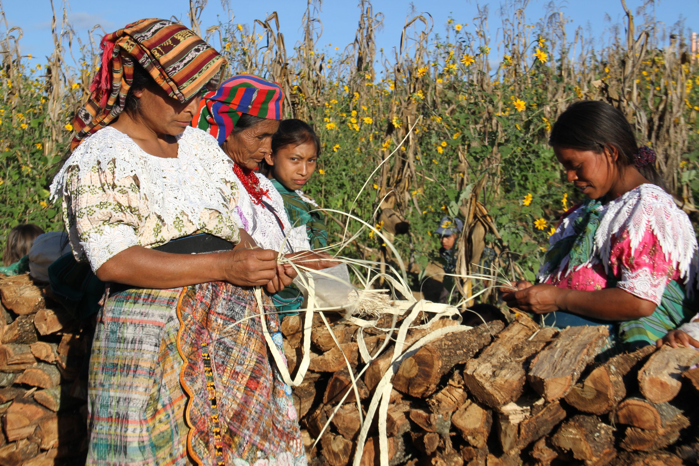 Guatemala, San Bartolome Jocotenango (Quiche), 15 November 2012

Since the harvest had been very bad, women in San Bartolome Jocotenango help in other kind of activities to have some income to buy food for their families: knitting leaves to make fiber baskets and ornaments.

Photo: WFP/Miguel Vargas