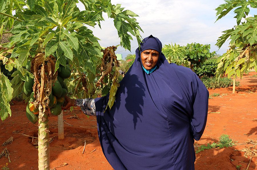 woman in blue full headscarf