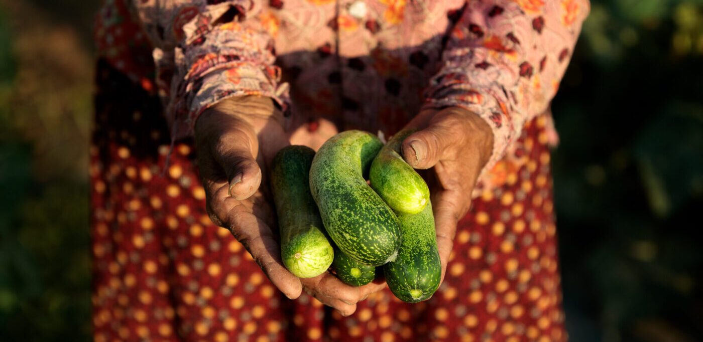 woman holding cucumbers