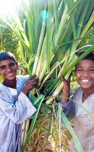 two boys smile while holding tree branches
