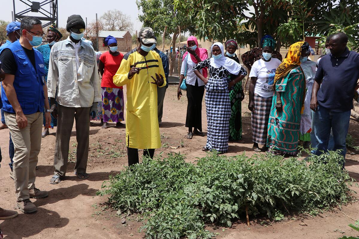 TBA

The minister of agriculture and WFP Country director visited medina lower basic school to witness the first school meals day since reopening of school after Covid-19 lockdown for several months