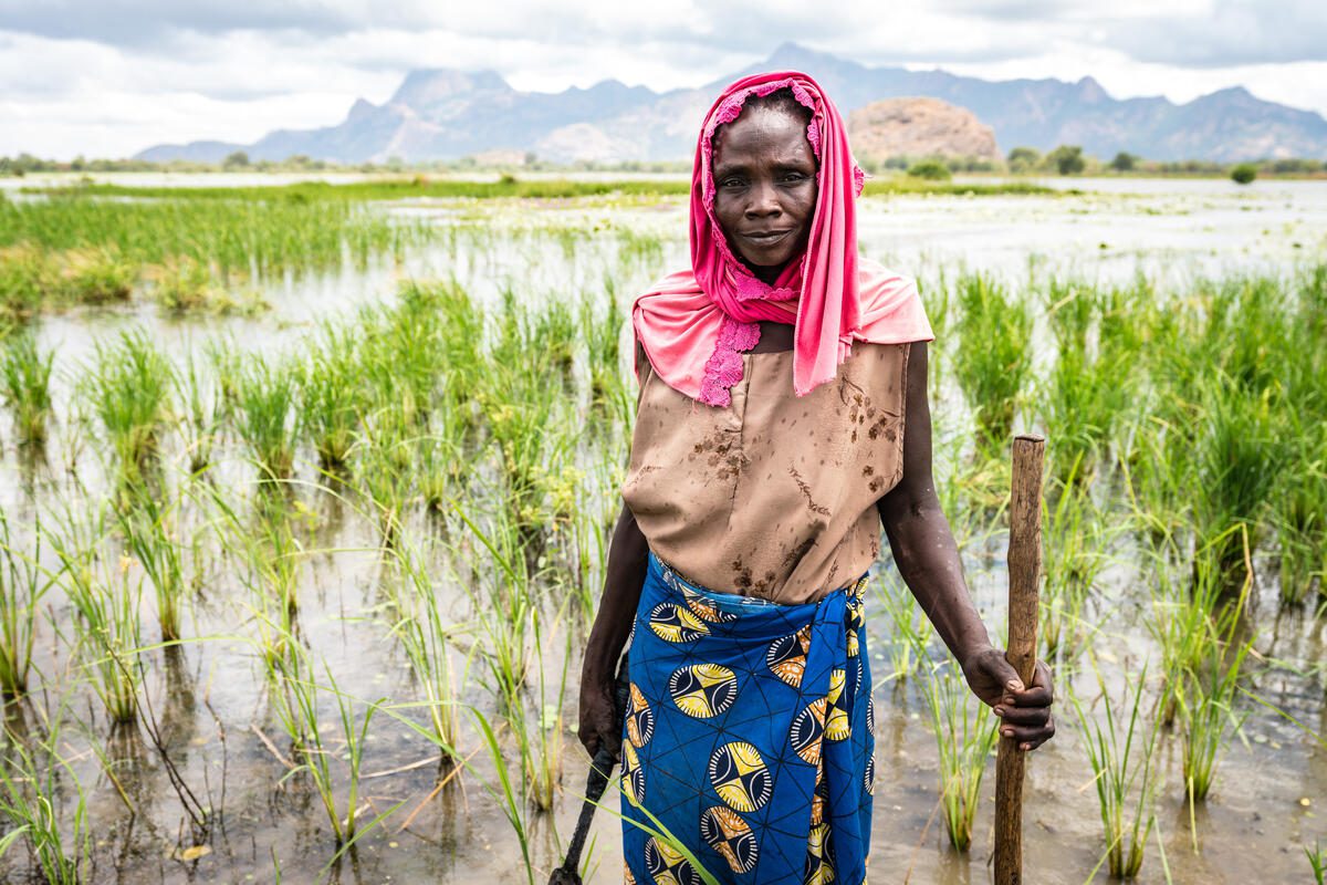 In this picture, you can see rice growing at the sides of the dam. More water allows for diverse agricultural activities throughout the year. 
This dam allows the community to harvest water for agriculture, drinking water and their cattle. At the same time, the dam protects the nearby villages from floods during the rainy season.

Through FFA activities, WFP supported the community in rehabilitating a dam. Finalized in 2021, it enables 700 households to grow rice and vegetables, provides water for livestock, and recharges the water table downstream where fruit orchards and village wells are located. With the gradual recession of water after the rainy season, additional arable land will be available for production.
--
More than half of the population in the Sahel lives on agriculture and pastoralism. Major droughts across the Sahel are threatening their lives and livelihoods. Through water harvesting techniques, WFP supports communities to maximize the use of rainfall for better access to more water. This means improved options to grow nutritious foods and make a better living. 

Since the beginning of the scale-up in 2018, together with the communities and partners, we rehabilitated nearly 109,000 hectares of degraded land, created 1,850 hectares of gardens to produce fresh vegetables and fruits, and built more than 1,160 ponds, almost 480 wells and 185 boreholes to enhance access to water. Chad is one of the world’s most vulnerable countries to the adverse effects of climate change. The country is affected by desertification, land degradation and extreme weather. On top, the region’s insecurity drives internal and external population movements. With over 500,000 people, Chad hosts the largest refugee population in the Sahel. Another 400,000 internally displaced persons (IDPs) are in the Lake Chad area.


The effects of climate change and conflict exacerbate each other. Both exacerbate hunger and poverty. People compete for increasingly scarce resources. To brea