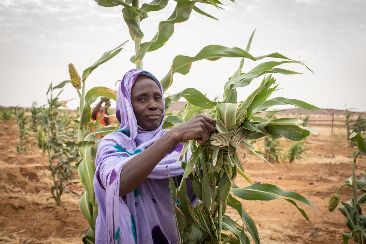 Woman in purple headscarf working in field