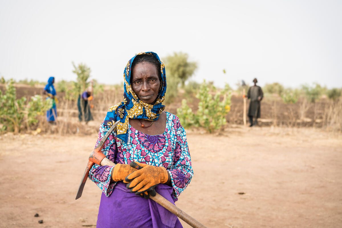 Half-moons are a technology that can be used by communities to restore degraded land and convert them into productive areas. Their semi-circular structure helps to harvest and conserve rainfall and runoff waters and restore soil moisture; it also works to reduce erosion, and with the addition of manure/compost, they help to improve soil fertility. Half-moons are multifunctional and have various designs: pastoral, agrosylvo-pastoral and sylvo-pastoral. Indeed, they can be used to grow crops, trees and forage. By expanding the production/grazing areas, this technology contributes to increased yields, income, and food security within a given community.
 
To help restore the food security of the most vulnerable people in Matam, Senegal, WFP introduced half-moons which were used to convert 24ha of glacis unexploited for more than 40 years into a productive area to the direct benefit of 238 households. On the demonstration sites in Diandioli village 6237 half-moons were designed with slight differences amongst them to test the functionality possibilities; similarly, to some households planted sorghum while others planted niebe and watermelon. Once the site is fertile and productive enough to allow for harvest, the produce can be used for household consumption or market sales.