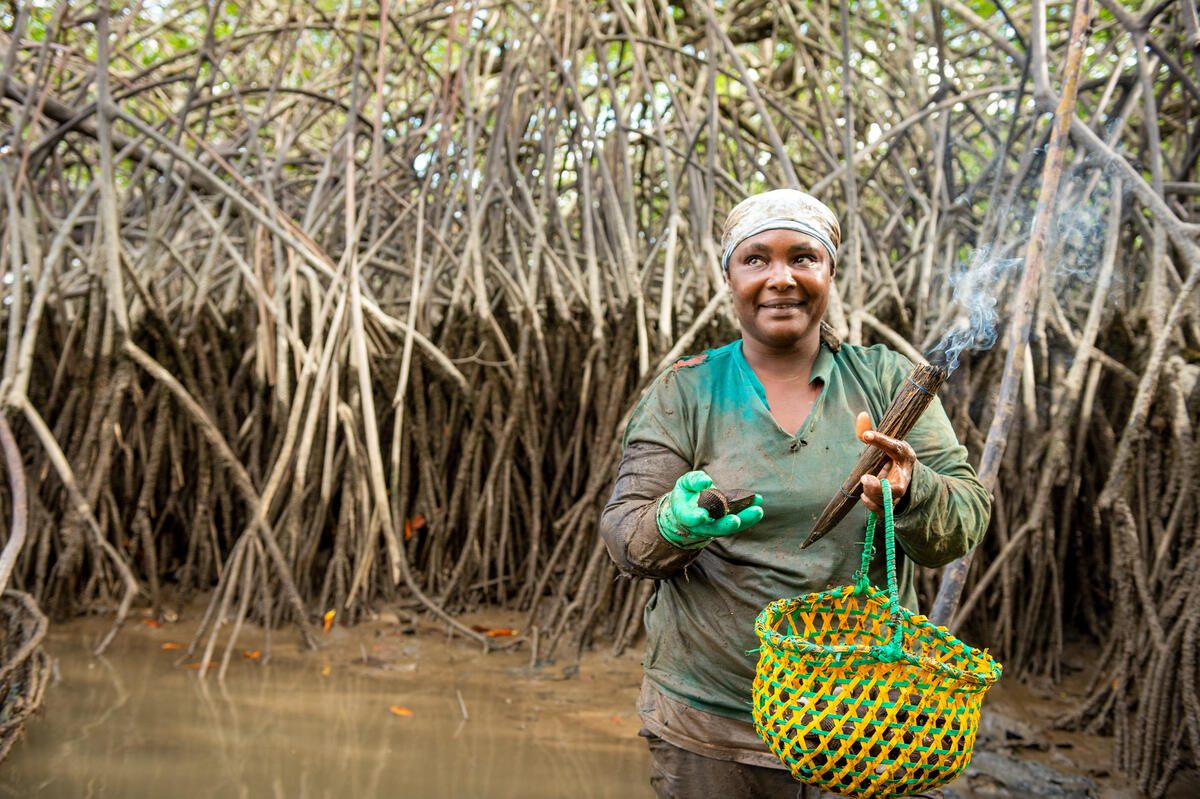 Ecuador, Reserva Ecológica Manglares Cayapas-Mataje (REMACAM), cantón San Lorenzo, Esmeraldas Province, 8 December 2021

In the Photo: Rosa among the mangroves during her daily work collecting shells. She spends her day in the dense mangrove tree roots swamp buried in waist-high mud, withstanding the bites of mosquitoes, toadfish, fireflies, and other insects for five to six hours each day she works.

&quot;The mangrove means a lot to me because is where we grow up, where our food is produced, is our life. […​] I like everything about my mangroves. I like living here because I feel good here. […​] We walk in the mangrove full of mud, buried up to the waist in mud. We buried ourselves to be able to remove the shells. That is the mangrove process. It is difficult. The mangrove is difficult. It is extremely demanding work. […​] Here everything depends on the mangrove&quot; Rosa says.  

Photo: WFP/Giulio d&#039;Adamo