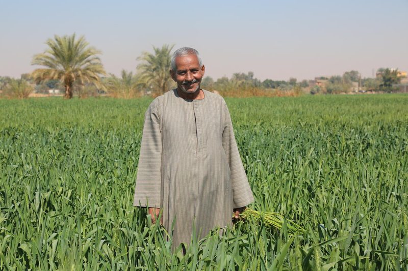 In the photo: Ayyad Ali, a farmer in Luxor, Egypt, proudly stands in his land, that is now consolidated with other land plots. WFP and the Government are helping Ayyad to increase his crop production by introducing improved agricultural techniques.

WFP supports vulnerable communities in rural Upper Egypt and border governorates in improving their resilience to socio-economic shocks and climatic changes through various interventions including the rehabilitation of assets, technology transfer and diversification of incomes. Activities that do not entail human interaction are continuing during the COVID-19 crisis while group activities such as awareness-raising sessions have been put on hold based on the Government’s curfews and suspension of public gatherings.