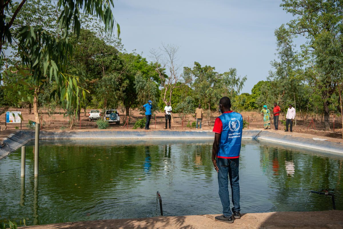 WFP staff supervise the team of fish farmers at the fish pond implemented by WFP in order to combat food insecurity in rural areas across Mali, on 4 June 2022.