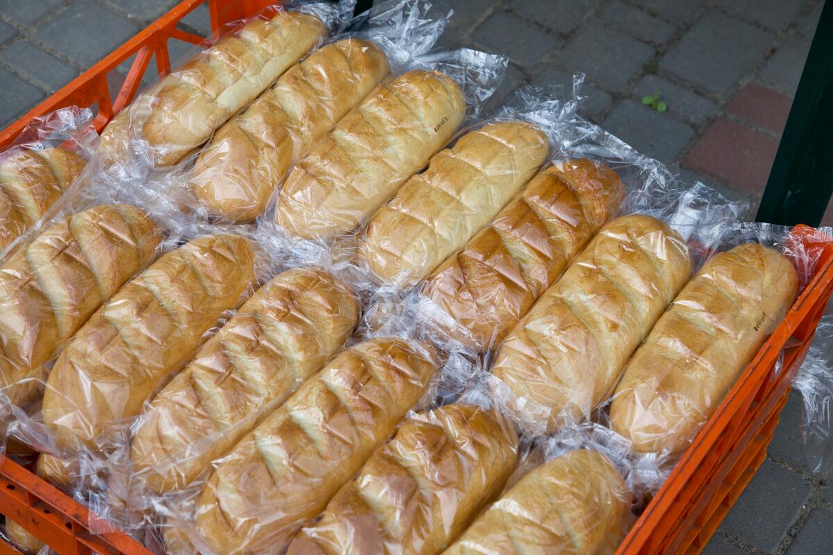 WFP bread distribution