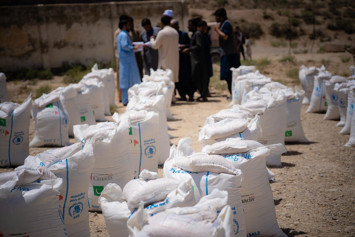 Bags of food for distribution