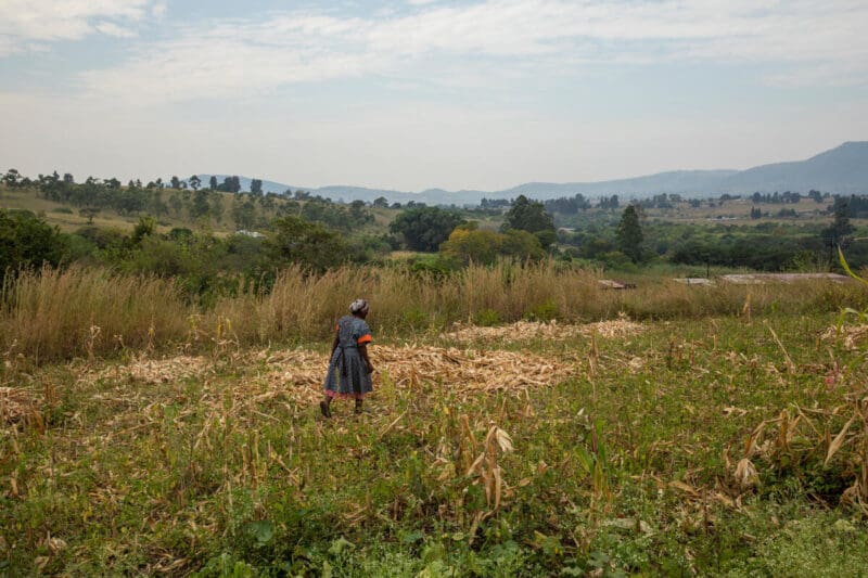 Political Transitions