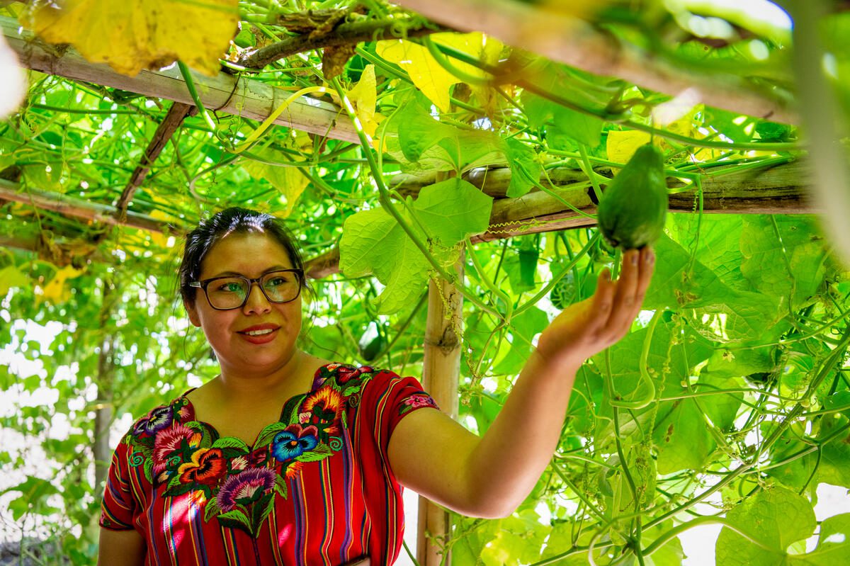 Farmer in Guatemala