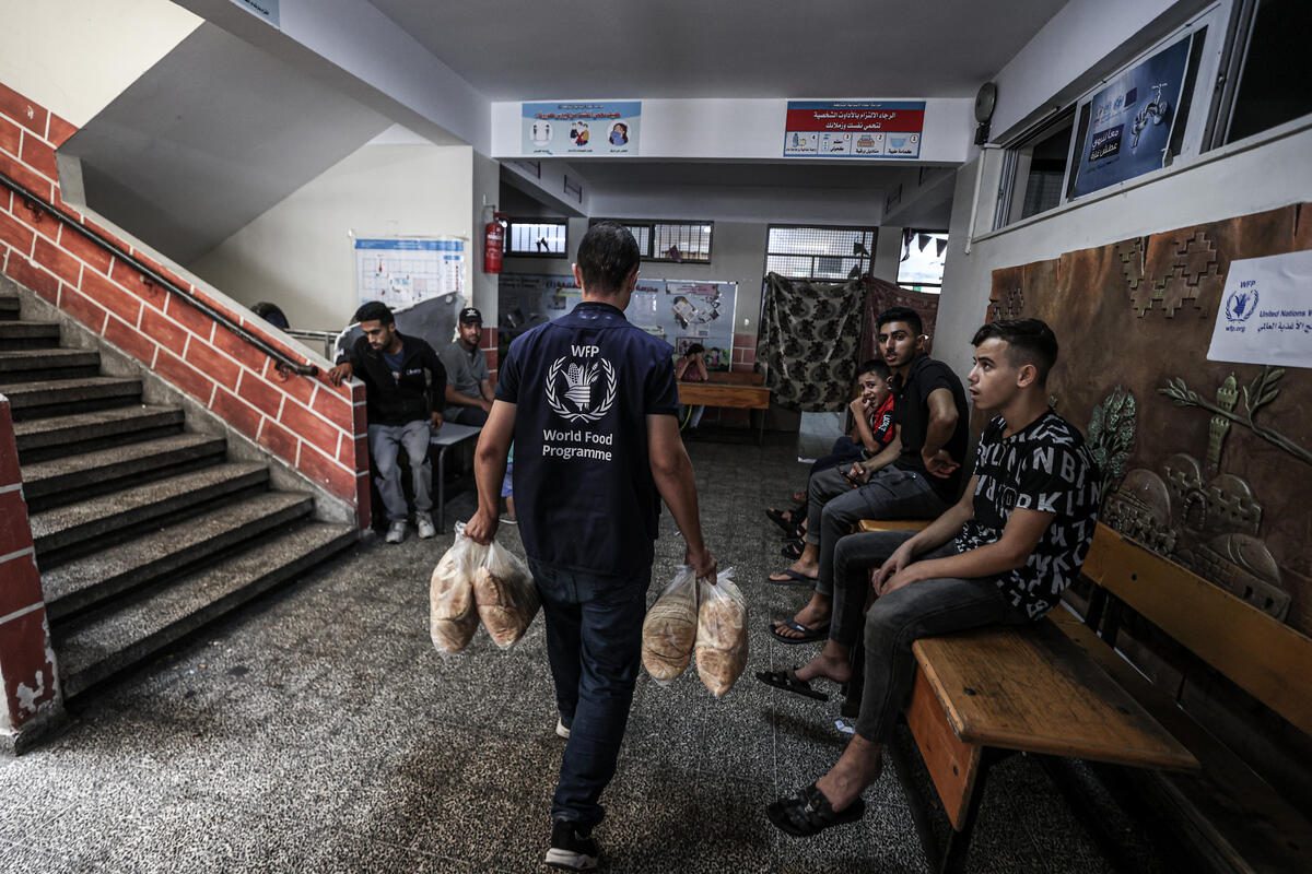 Palestine, Gaza governorate, 10 October 2023

In the photo: WFP bread distribution at UNRWA school that is a designated shelter in times of emergency.

The school is located in Gaza governorate hosting more than 60 displaced families (750 people) who were forced to flee their homes for their safety and survival. These families evacuated their homes with no food, clothes, or any source to sustain themselves, saving only their lives.