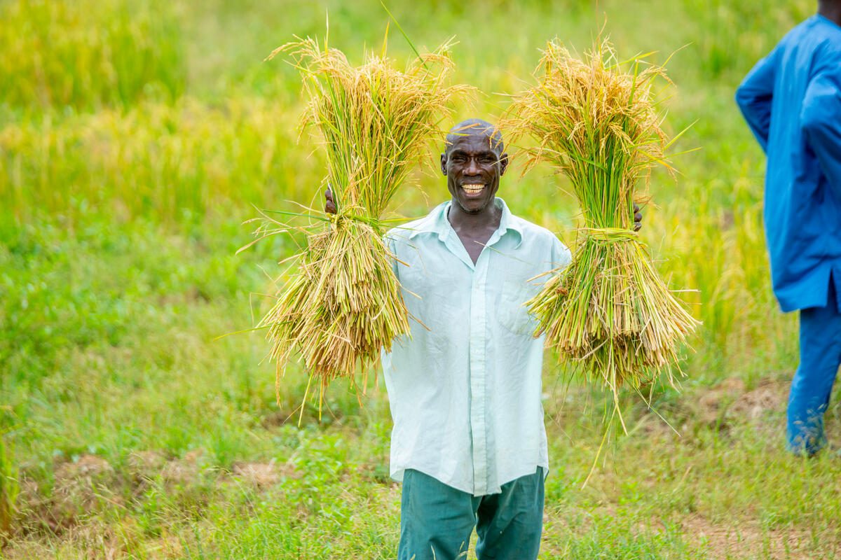 Harvesting rice grown on half-moons

People in the Sahel face recurring socio-economic difficulties, environmental and ecological shocks and security crises.
In Burkina Faso, these difficulties are reflected in recurrent climatic variations and the depletion of natural resources, which compromise the sustainability, stability and food and nutritional security of households.
WFP, in its efforts to contribute to the achievement of the goal of zero hunger by 2030, provides assistance to communities affected by shocks and supports the strengthening of their resilience. In partnership with the government, NGOs, the private sector and universities, WFP is implementing an integrated programme to strengthen the resilience of communities in the Centre Nord, Est, Nord, Sahel and Plateau Central regions.
The resilience programme activities include land rehabilitation, the development of rice-growing lowlands, the creation of market gardens and the construction of water impoundments.