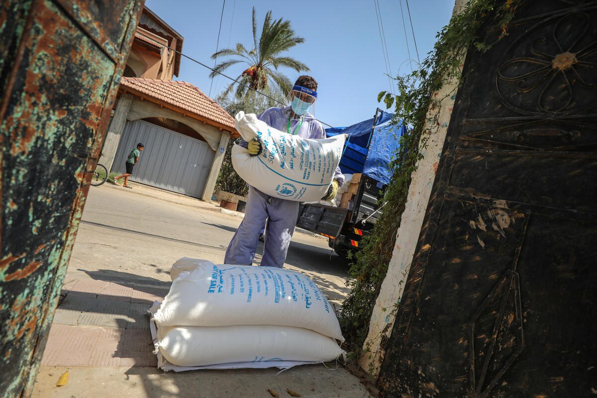 Palestine, Gaza, 15 September 2020

In the Photo: Door-to-door food distributions started in Gaza amidst the spike in COVID-19 cases in the Strip.

Photo: WFP/Ali Jadallah

WFP assists 35,000 people in Gaza through in-kind food rations &amp; 224,000 people through food vouchers. The food rations consist of wheat flour, pulses, vegetable oil, salt and canned tuna.
