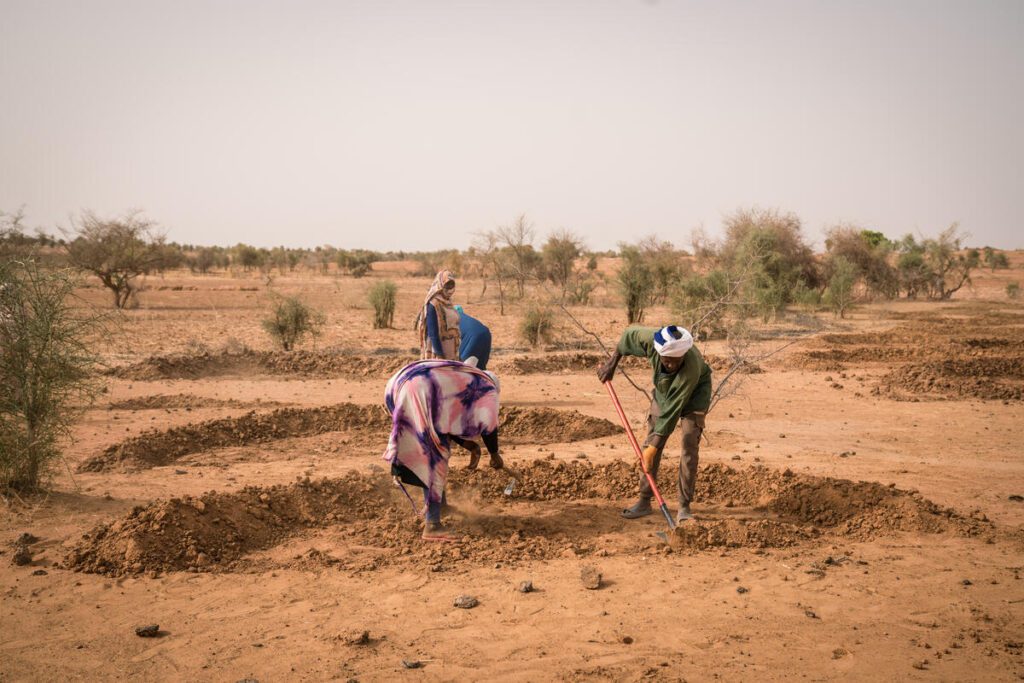 WFP resilience project in Mauritania