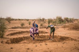 WFP resilience project in Mauritania
