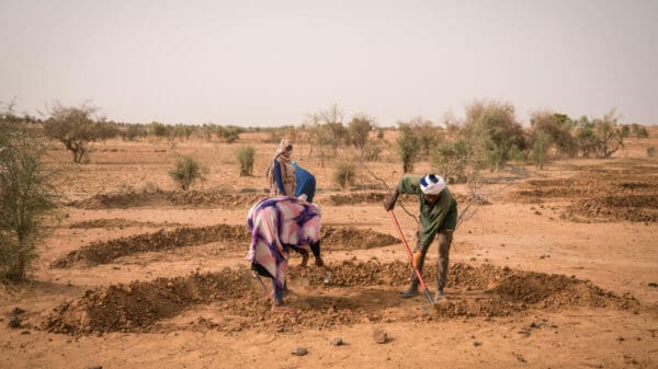 WFP resilience project in Mauritania