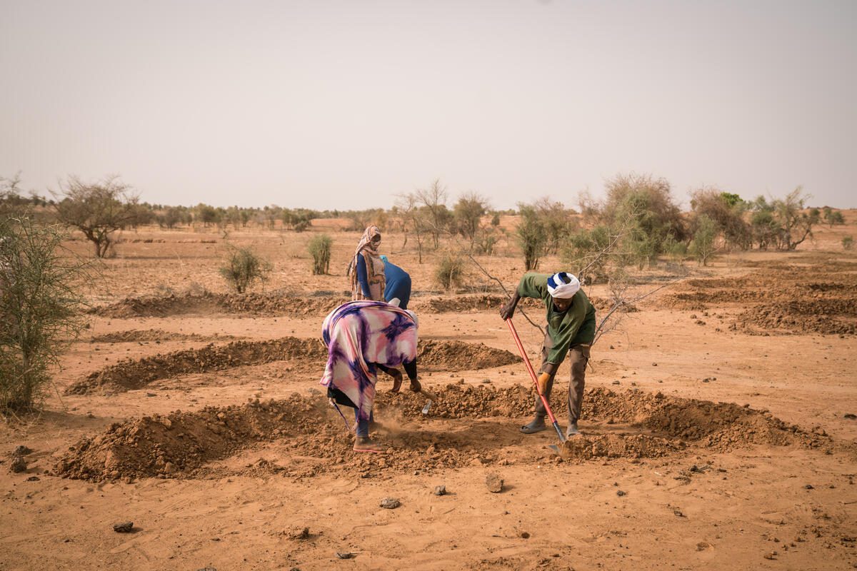 WFP resilience project in Mauritania