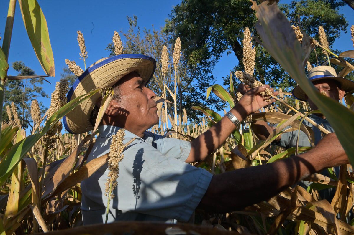 Farmer in El Salvador
