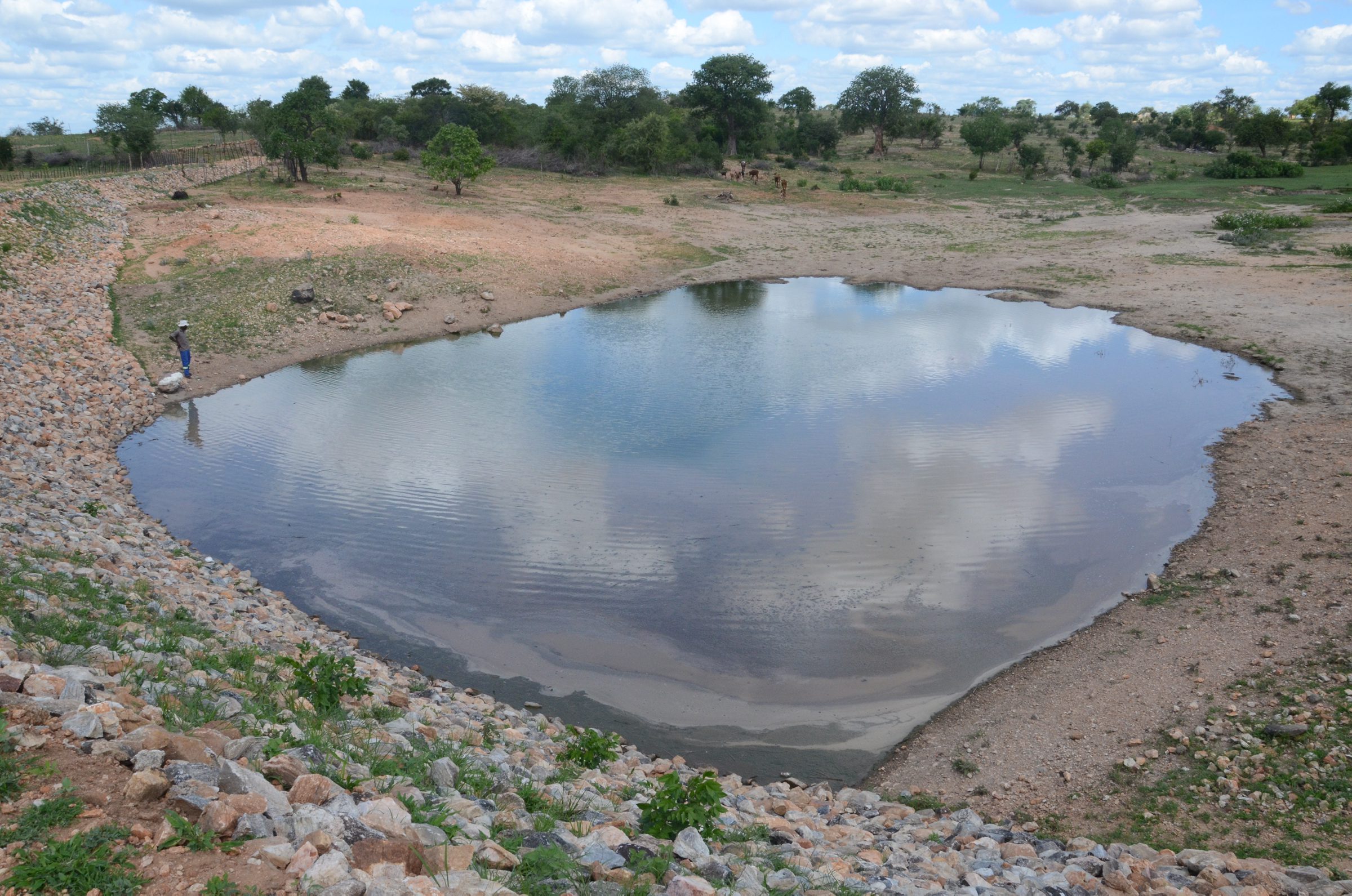 Zimbabwe, Hwange district, 19 January 2016

In the Photo: Right: Tondeka dam, now with water too low to reach the catchment.
The dam was created or rehabilitated through WFPs Productive Asset Creation programme projects in Hwange, and had served as key sources of water for the community.

Photo: WFP/Sophia Robele