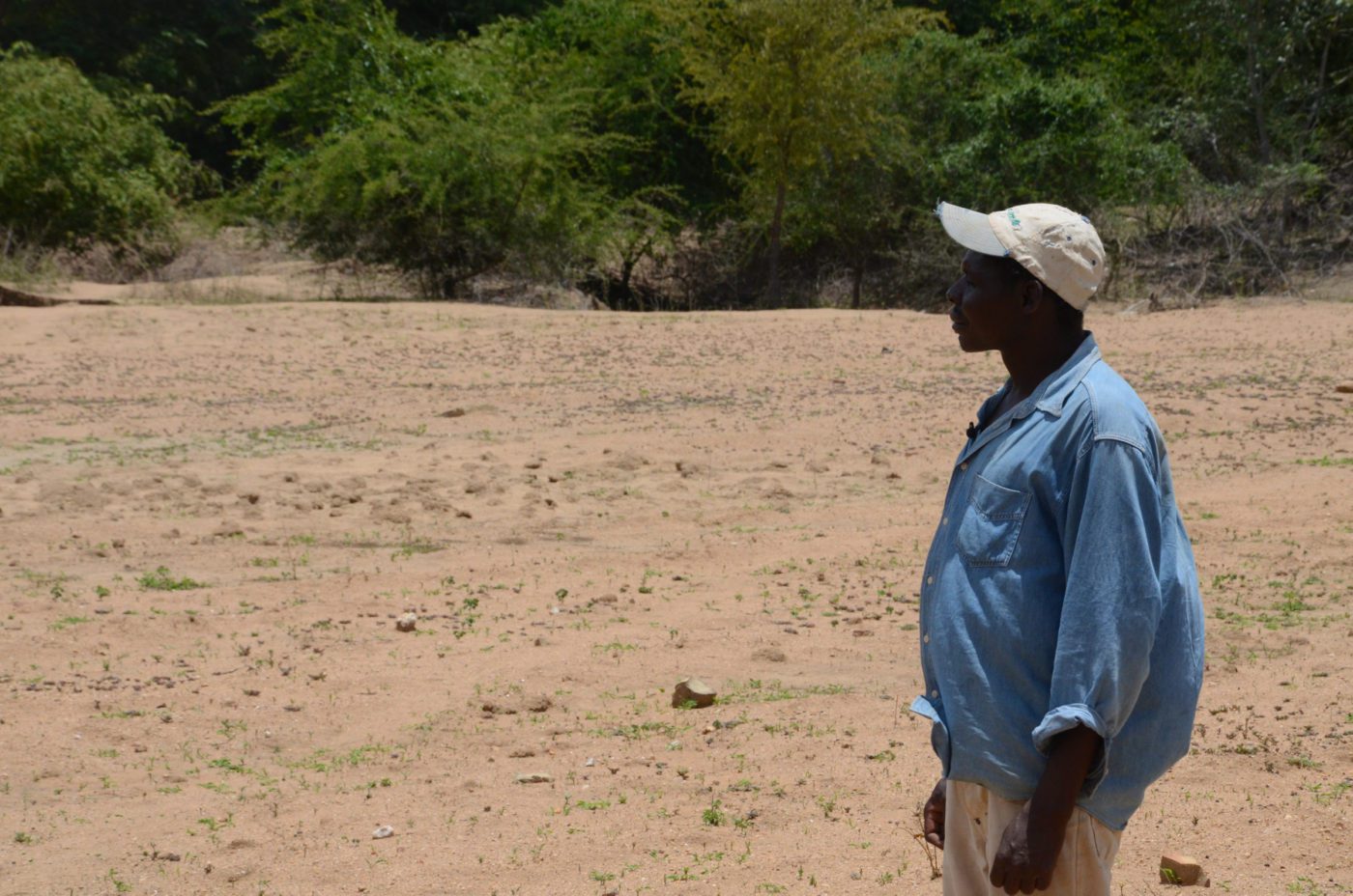 Zimbabwe, Hwange district, 20 January 2016

Charles Muzamba, a beneficiary of WFPs Lean Season Assistance in Hwange district, stands in front of his empty field that should have crops at least a meter high by this time in the season.

Photo: WFP/Sophia Robele