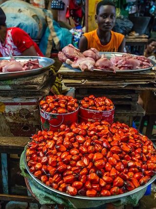 eva-blue-pC4vFN3P8VQ-unsplash-1-edited