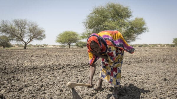 Bai Mbaram attempts to grow a garden in the dry soil around Lake Chad