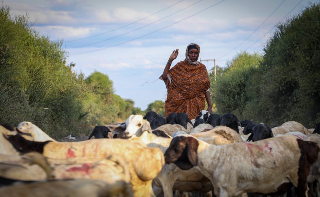 Pastoralists in Kenya