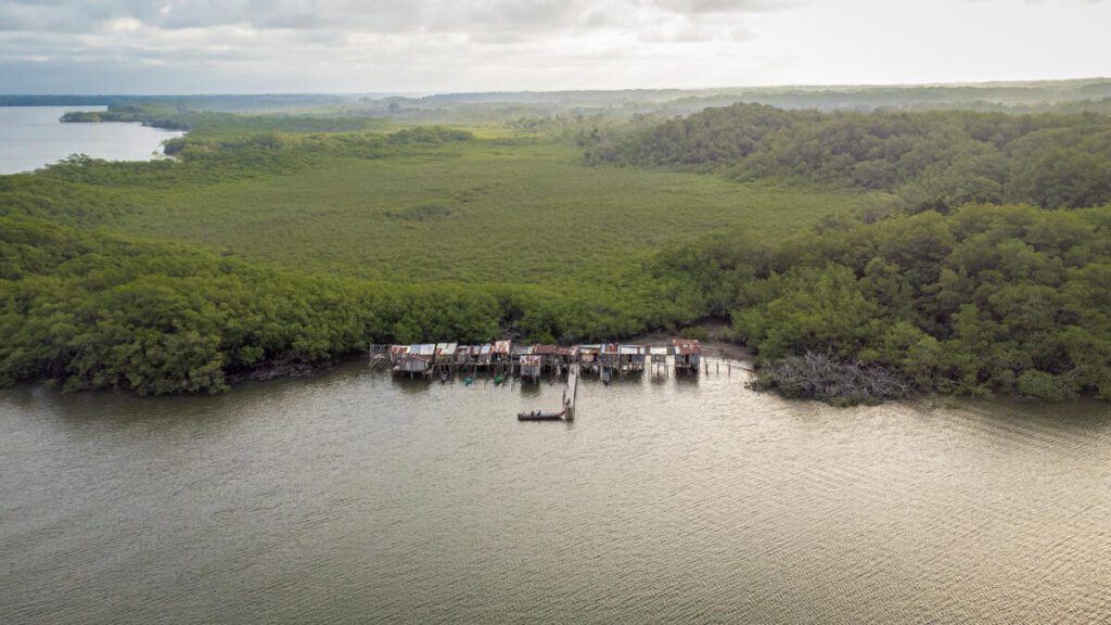 community on bank of water and forests