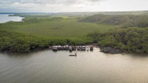 community on bank of water and forests