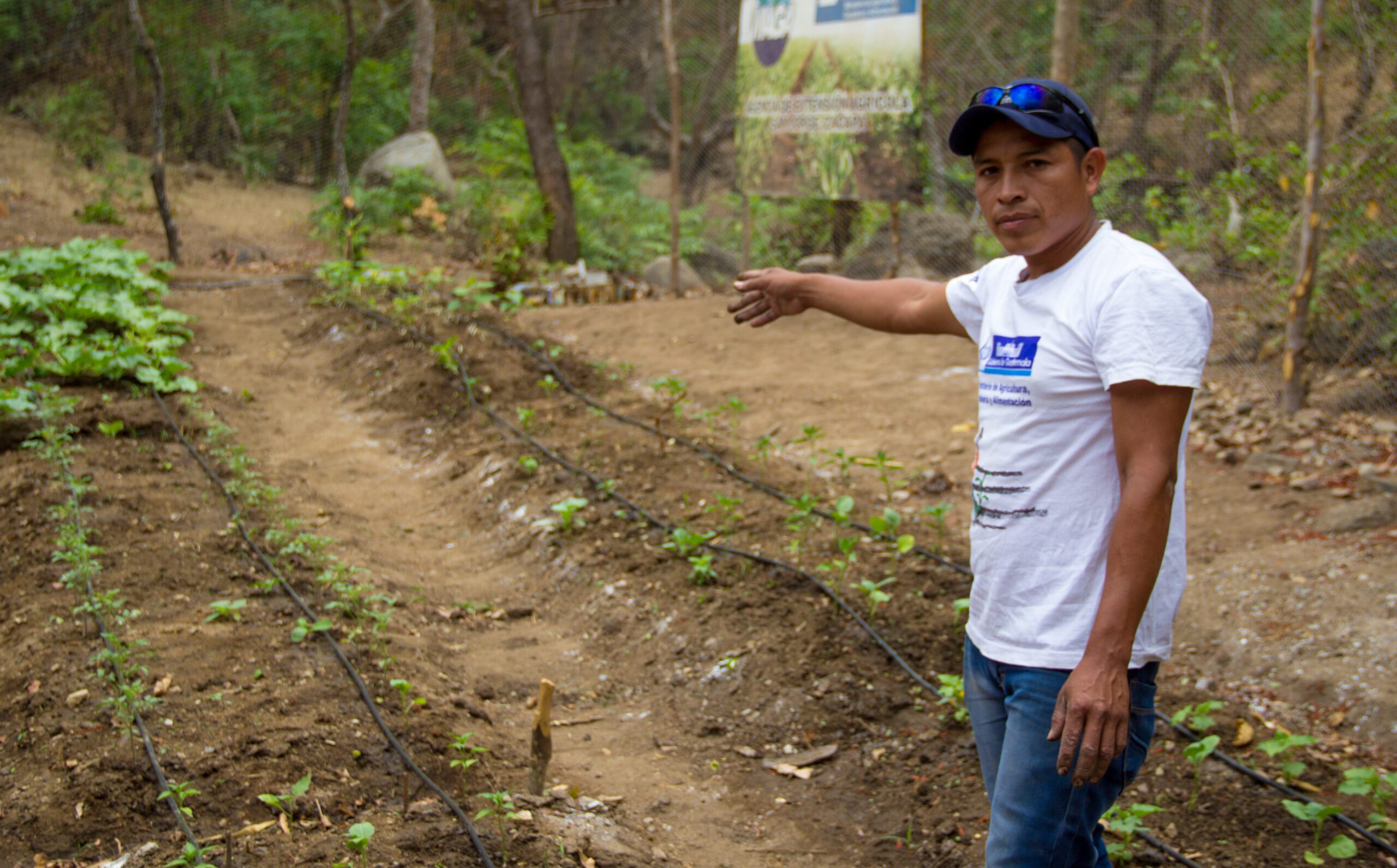 Rising hunger in Central America and Haiti as El Niño follows prolonged drought