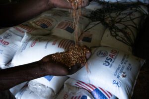 Grain is poured into an open hand in front of food bags.